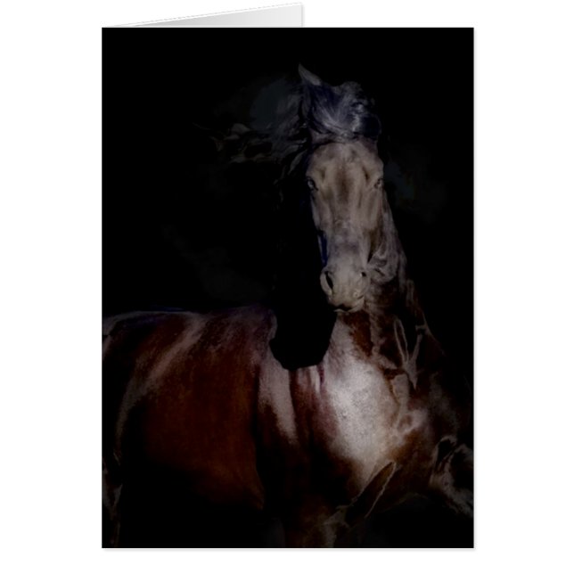 Zwart op zwart (Voorkant)