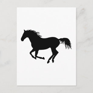 Zwart paard 1 briefkaart