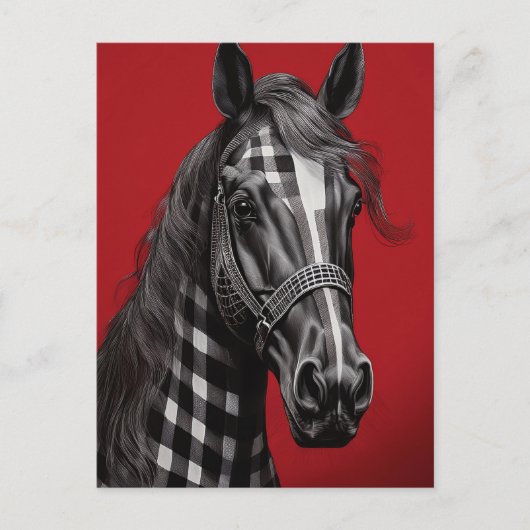 zwart paard briefkaart (Voorkant)