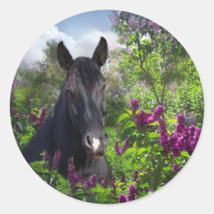 Zwart paard in seringen ronde sticker