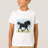Zwart paard met ster- en Sockanatomigram