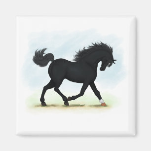 Zwart paard met ster en sok (zwarte schoonheid) magneet