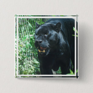 Zwart panter CatButton Vierkante Button 5,1 Cm
