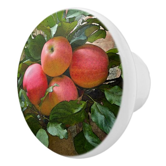 "ZWART PINK APPLES" CERAMIC KNOB KERAMISCHE KNOP (Rechts)