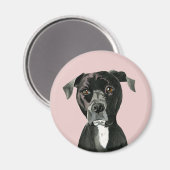 Zwart Pit Bull Hondenportret Magneet (Voorkant / Achterkant)