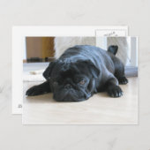 zwart plat briefkaart (Voorkant / Achterkant)