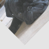 zwart plat tissuepapier (Detail)