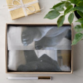 zwart plat tissuepapier (Geschenk)