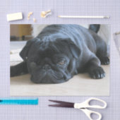 zwart plat tissuepapier (Craft)