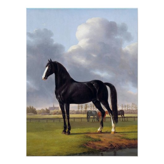 Zwart Race Paard circa 1828 Perfect Poster (Voorkant)