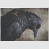 Zwart Raven Tissuepapier (Voorkant)