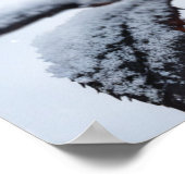 Zwart Roos in de sneeuw - Moody Winter Floral Art  Poster (Hoek)