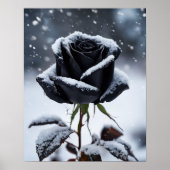 Zwart Roos in de sneeuw - Moody Winter Floral Art  Poster (Voorkant)