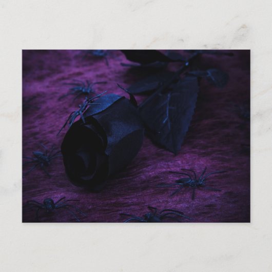 Zwart Rozen Briefkaart (Voorkant)