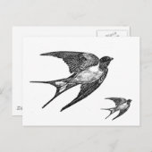  zwart slipontwerp briefkaart (Voorkant / Achterkant)