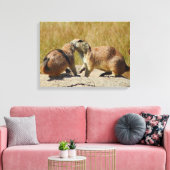 Zwart-staart Prairie Dog Canvas Print (Insitu (Woonkamer))