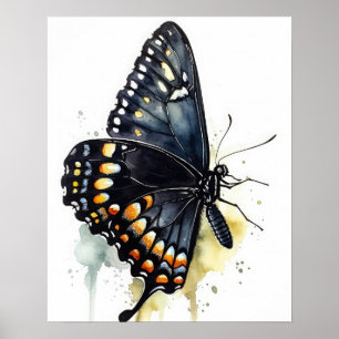 Zwart Swallowtail Butterfly Art Print Poster