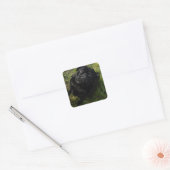 zwart vierkante sticker (Envelop)