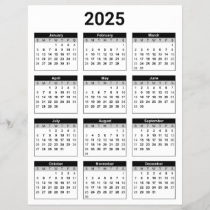 Zwart-wit 2025 jaar in een oogopslag flyer