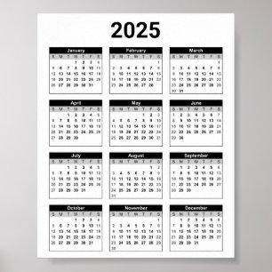 Zwart-wit 2025 jaar in een oogopslag poster