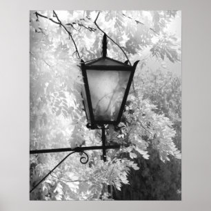 Zwart-wit aanzicht van lichtarmatuur poster