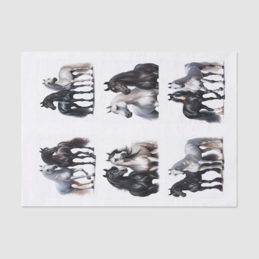 Zwart-wit Arabische paardenparen Tissuepapier (Voorkant)