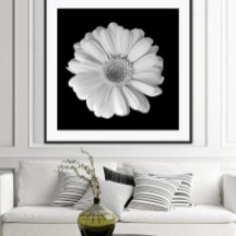 Zwart-Wit Bloem Fotografie Poster