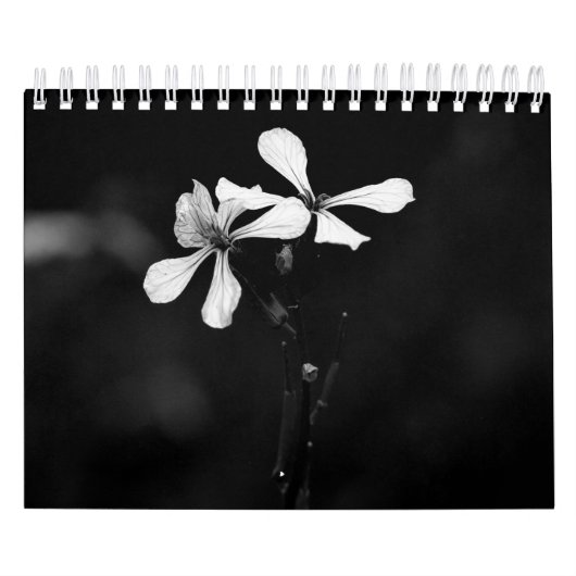 Zwart-wit bloemen fotografie kalender (Hoes)