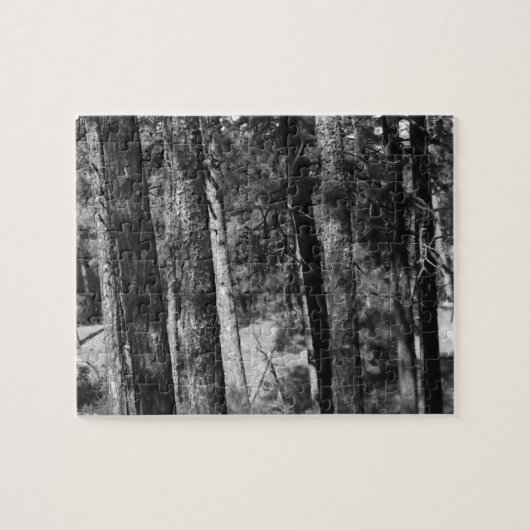 zwart-wit bomen rondom puzzel (Horizontaal)
