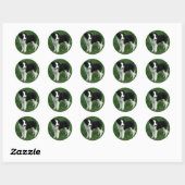 Zwart & Wit Border Collie Puppy Dog Stickers (Vel)