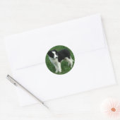 Zwart & Wit Border Collie Puppy Dog Stickers (Envelop)
