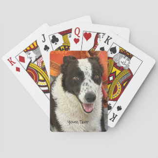 Zwart-wit Border Collie Speelkaarten