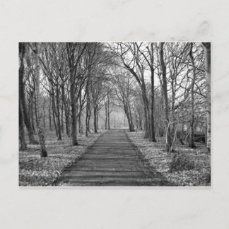 Zwart/wit bos briefkaart