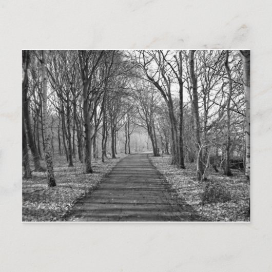 Zwart/wit bos briefkaart (Voorkant)