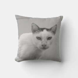 Zwart-wit - Cat 02 Kussen