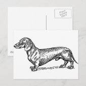 Zwart-wit Dachshund Wiener Dog Briefkaart (Voorkant / Achterkant)
