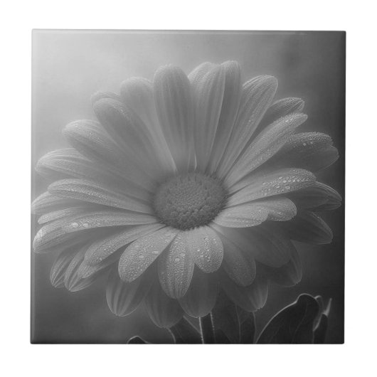 Zwart-wit Daisy Tegeltje (Voorkant)