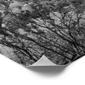 Zwart-wit Desert Cactus 16x20 Poster Print (Hoek)