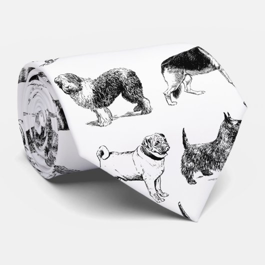 Zwart-wit  duogpatroon stropdas (Opgerold)