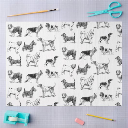 Zwart-wit  duogpatroon tissuepapier (Craft)