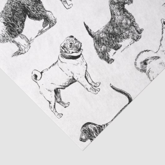 Zwart-wit  duogpatroon tissuepapier (Detail)