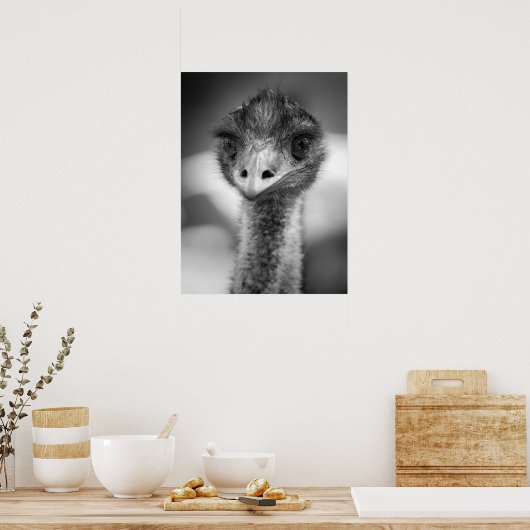 Zwart-wit Emu Portrait Wildlife Poster (Keuken)