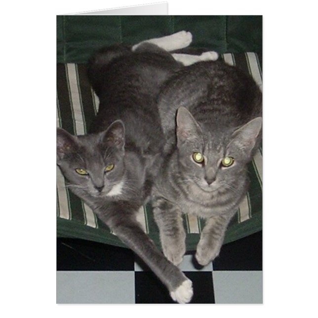 Zwart, wit en grijs (Voorkant)