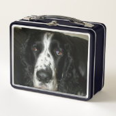 Zwart-wit Engelse Springer Spaniel Foto (Voorkant)