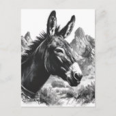 Zwart-wit ezelportret in het zuidwesten briefkaart (Voorkant)