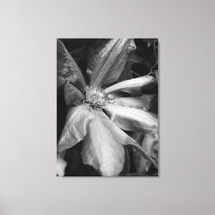 Zwart-wit foto van een Clematis na een regen Canvas Afdruk