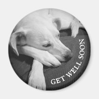 Zwart-wit foto van een mooie hond slapen