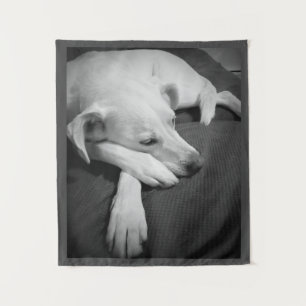 Zwart-wit foto van een mooie hond slapen wandkleed