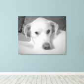 Zwart-wit foto van Labrador Mix Dog Canvas Afdruk (Insitu (Houten vloer))