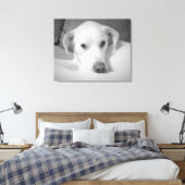 Zwart-wit foto van Labrador Mix Dog Canvas Afdruk (Insitu (Slaapkamer))